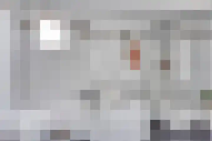 Nieuwe Hofstraat 32 Oss thumbnail 23