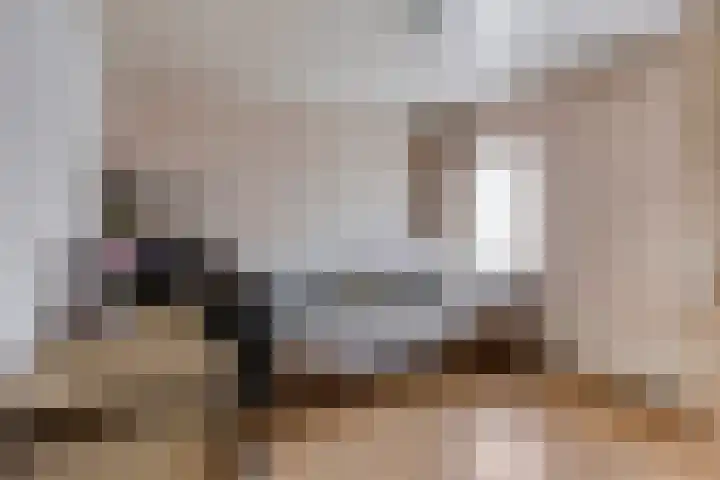 Nieuwe Hofstraat 32 Oss thumbnail 27