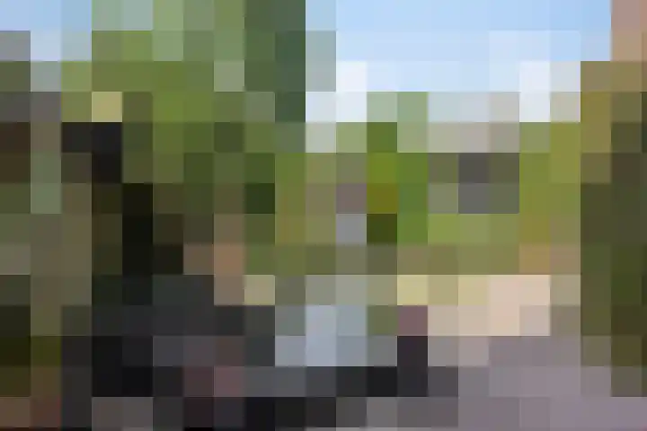 Nieuwe Hofstraat 32 Oss thumbnail 28