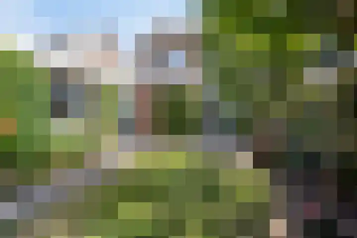 Nieuwe Hofstraat 32 Oss thumbnail 30