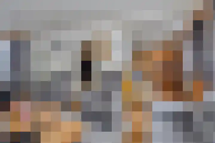 Nieuwe Hofstraat 32 Oss thumbnail 9