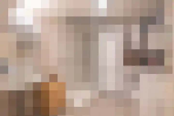 Nieuwe Hofstraat 7 Sint Geertruid thumbnail 11
