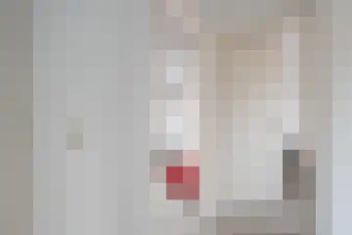 Nieuwe Hofstraat 7 Sint Geertruid thumbnail 13