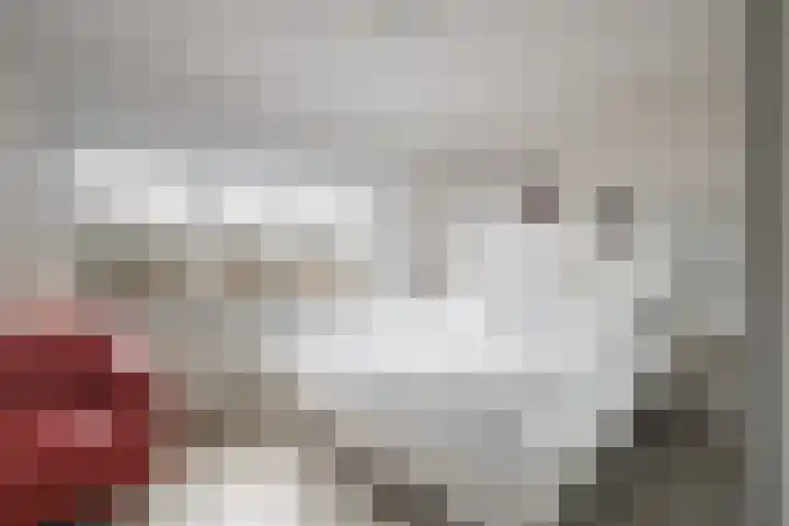 Nieuwe Hofstraat 7 Sint Geertruid thumbnail 14