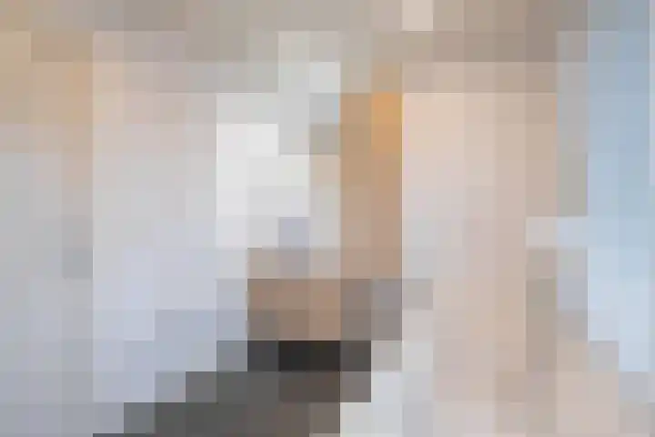 Nieuwe Hofstraat 7 Sint Geertruid thumbnail 18