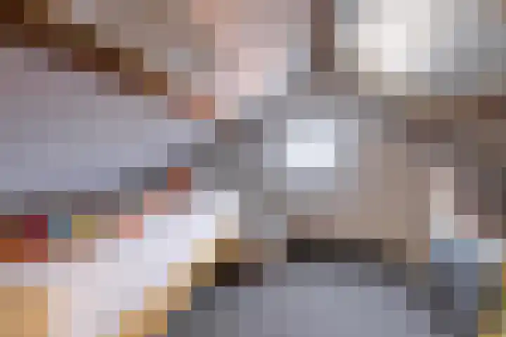 Nieuwe Hofstraat 7 Sint Geertruid thumbnail 19