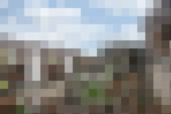 Nieuwe Hofstraat 7 Sint Geertruid thumbnail 21