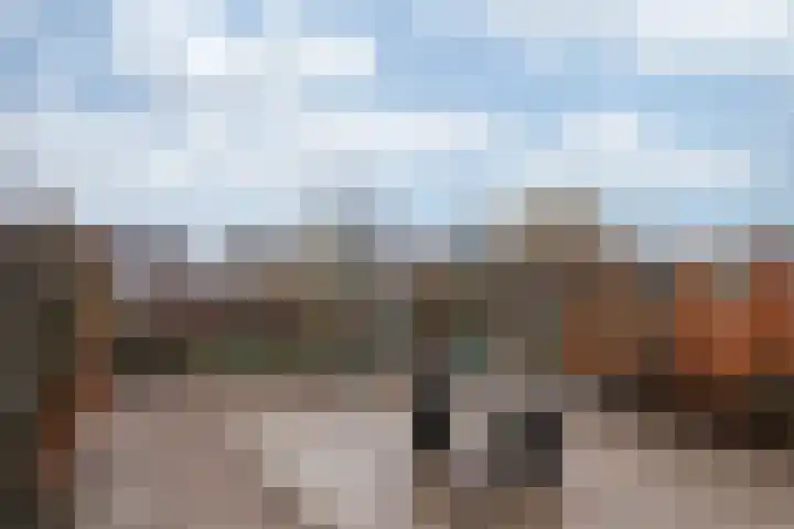 Nieuwe Hofstraat 7 Sint Geertruid thumbnail 22