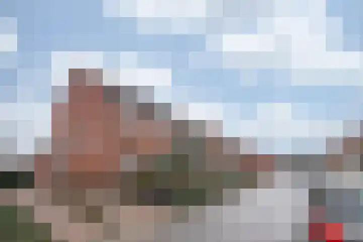 Nieuwe Hofstraat 7 Sint Geertruid thumbnail 23