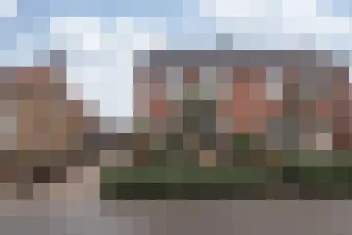 Nieuwe Hofstraat 7 Sint Geertruid thumbnail 24