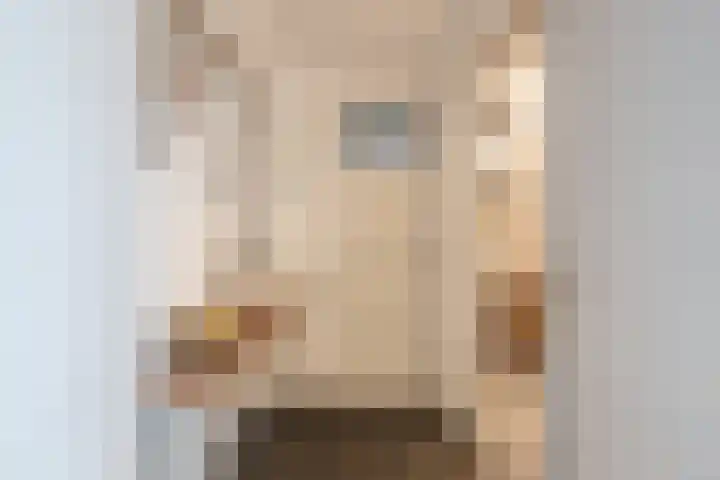 Nieuwe Hofstraat 7 Sint Geertruid thumbnail 9