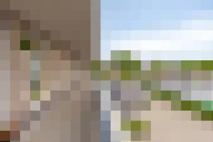 Nieuwe Holdert 12 Haulerwijk thumbnail 34