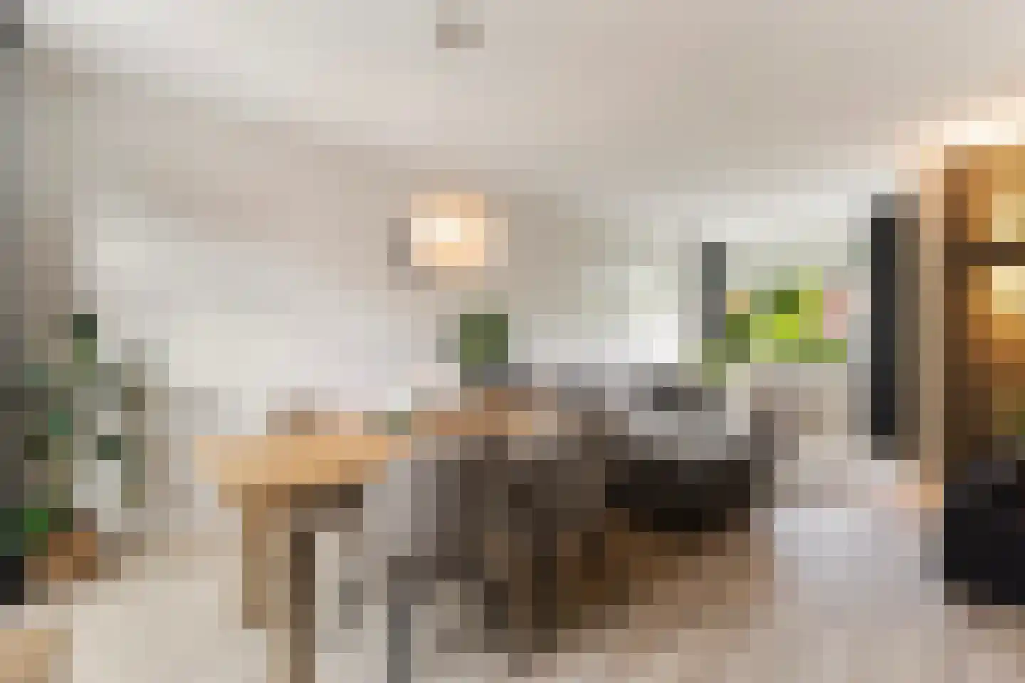 Nieuwe Hollanderdijk 3 a Leeuwarden thumbnail 19