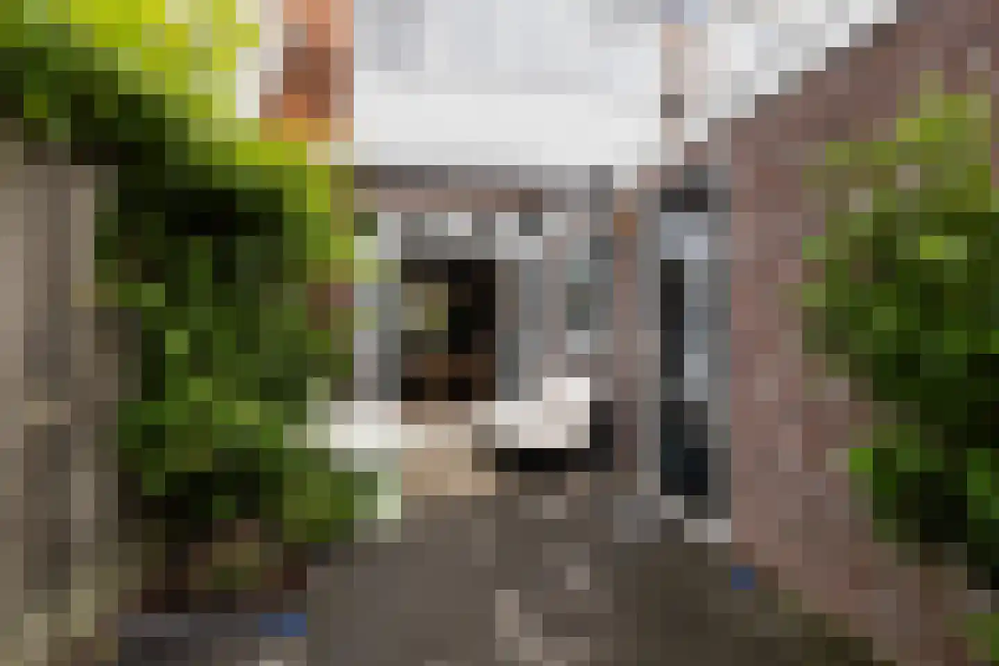Nieuwe Hollanderdijk 3 a Leeuwarden thumbnail 35