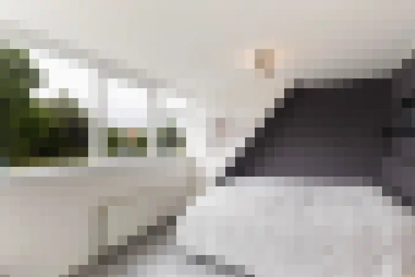 Nieuwe Hollanderdijk 3 a Leeuwarden thumbnail 38