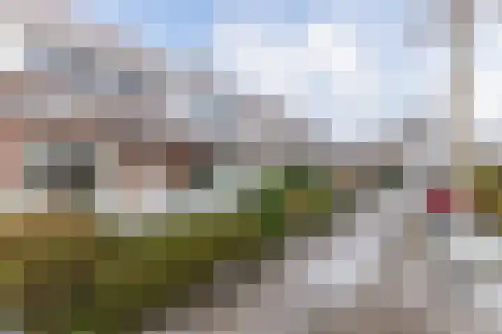 Nieuwe Hollanderdijk 3 Leeuwarden thumbnail 10