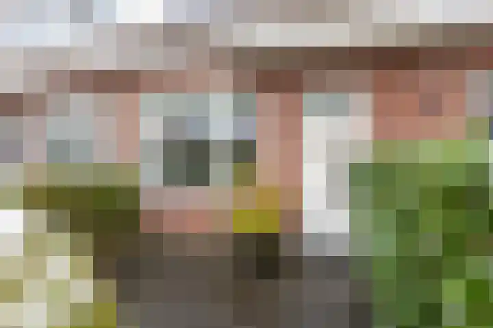 Nieuwe Hollanderdijk 3 Leeuwarden thumbnail 11