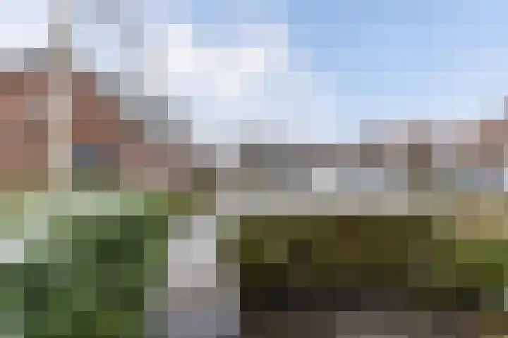 Nieuwe Hollanderdijk 3 Leeuwarden thumbnail 12