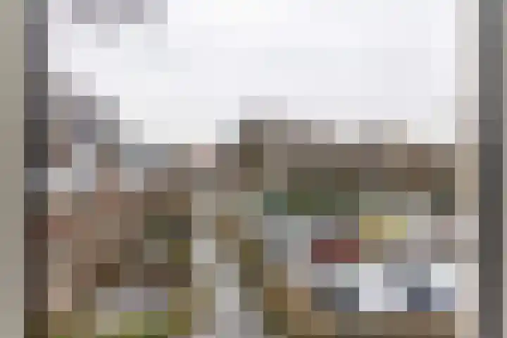 Nieuwe Hollanderdijk 3 Leeuwarden thumbnail 32