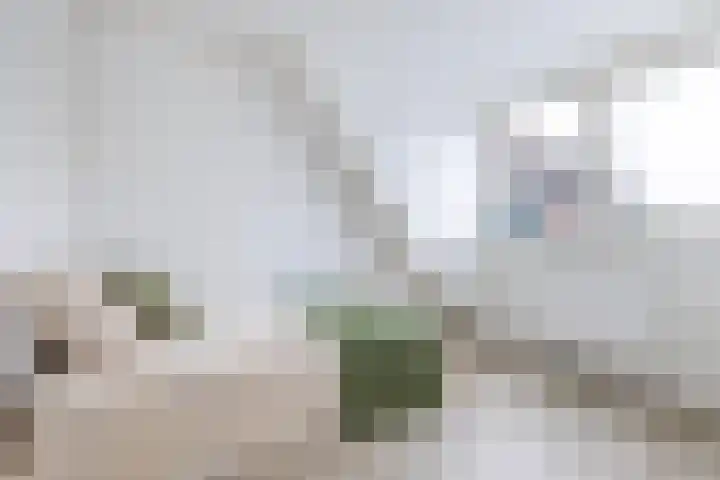 Nieuwe Hollanderdijk 3 Leeuwarden thumbnail 33