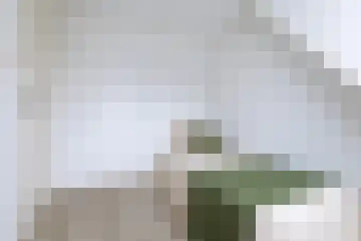 Nieuwe Hollanderdijk 3 Leeuwarden thumbnail 34