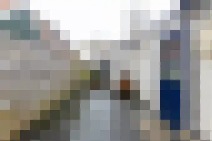 Nieuwe Hollanderdijk 3 Leeuwarden thumbnail 43
