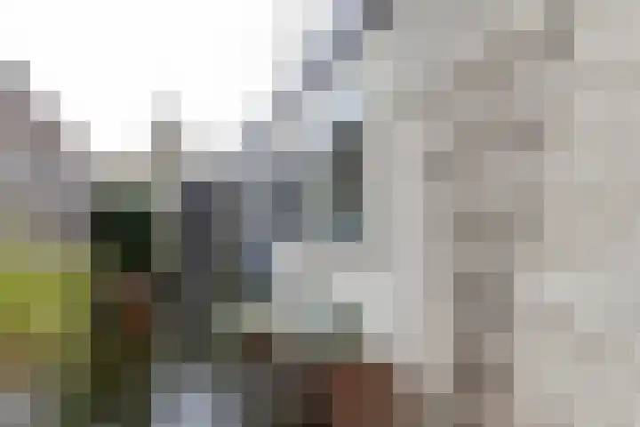 Nieuwe Hollanderdijk 3 Leeuwarden thumbnail 45