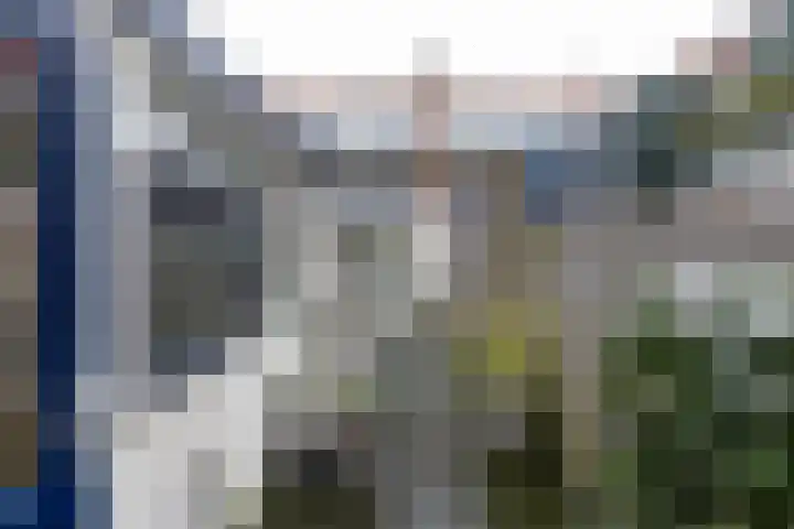 Nieuwe Hollanderdijk 3 Leeuwarden thumbnail 46