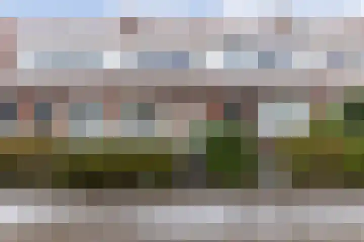 Nieuwe Hollanderdijk 3 Leeuwarden thumbnail 9