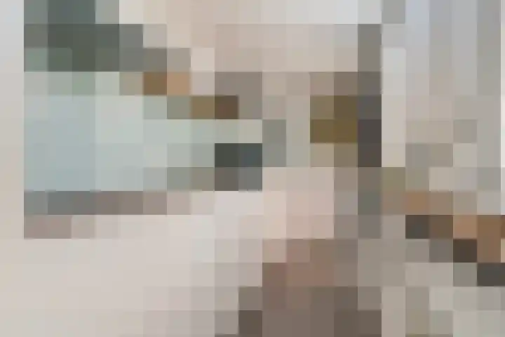 Nieuwe Hollanderdijk 5 Leeuwarden thumbnail 23