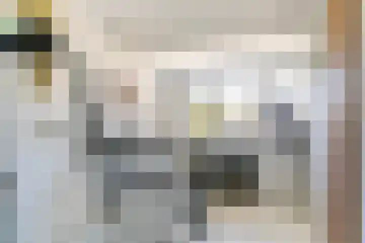 Nieuwe Hollanderdijk 5 Leeuwarden thumbnail 33