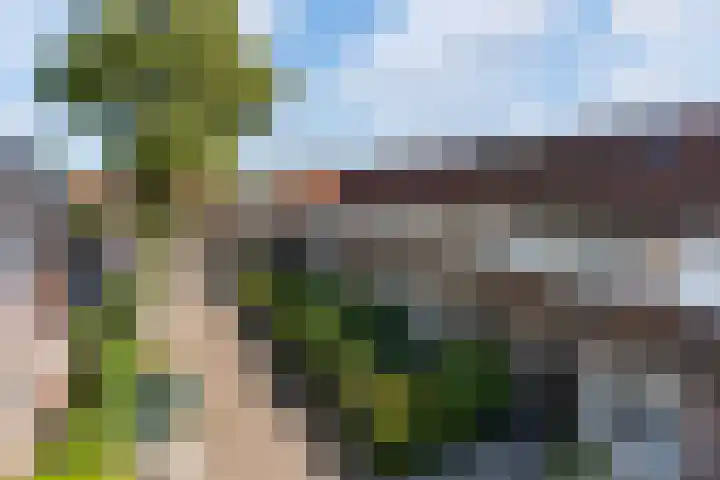 Nieuwe Hollanderdijk 5 Leeuwarden thumbnail 38