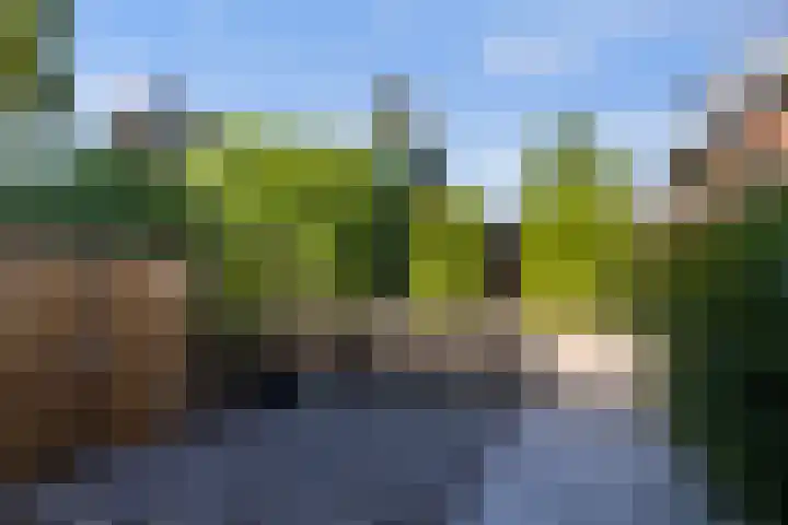Nieuwe Hollanderdijk 5 Leeuwarden thumbnail 39