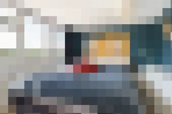 Nieuwe Hollanderdijk 5 Leeuwarden thumbnail 4