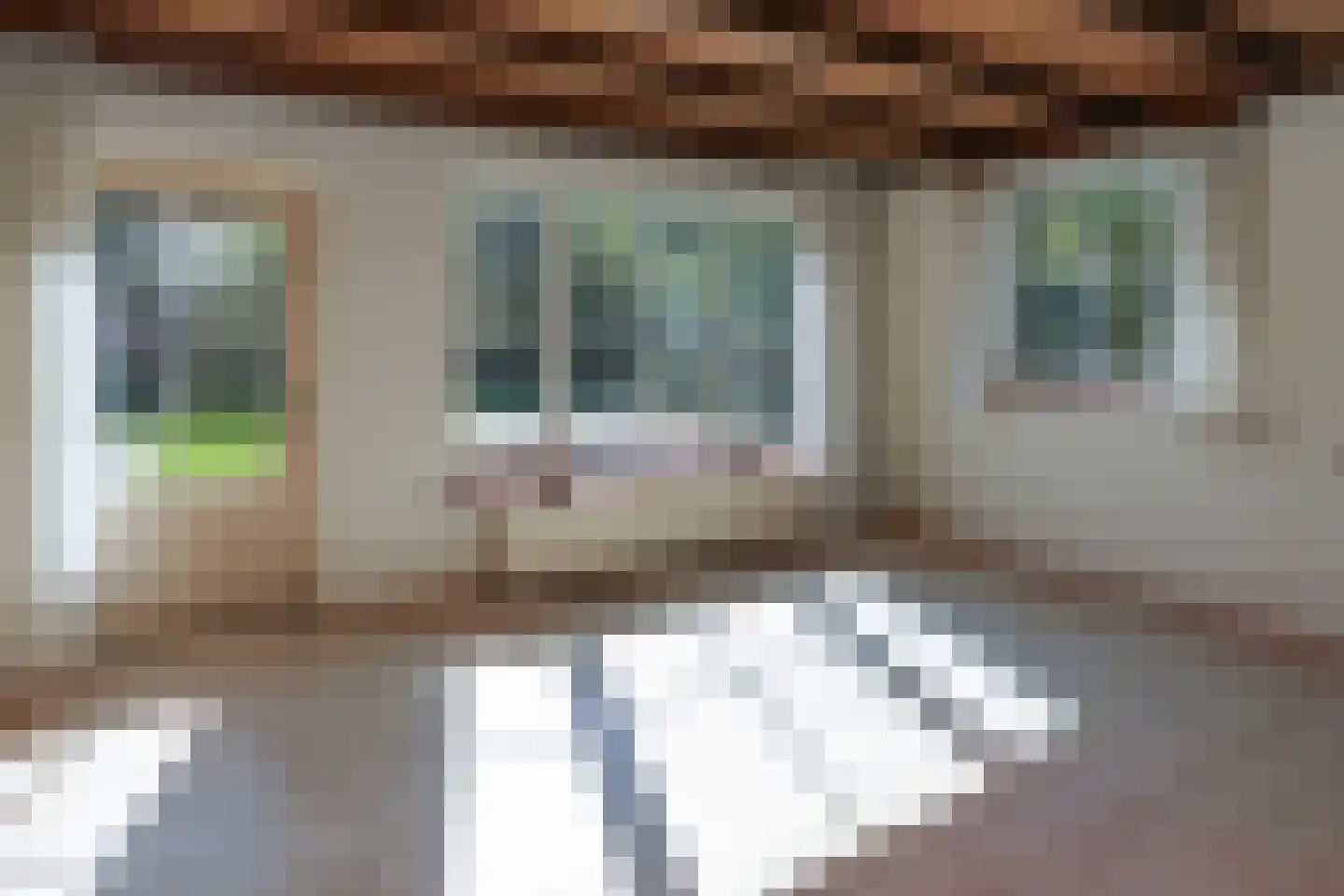 Nieuwe Holleweg 39 Beek thumbnail 10