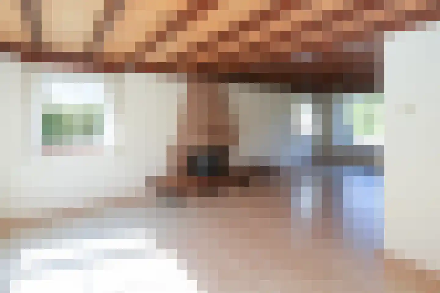 Nieuwe Holleweg 39 Beek thumbnail 8
