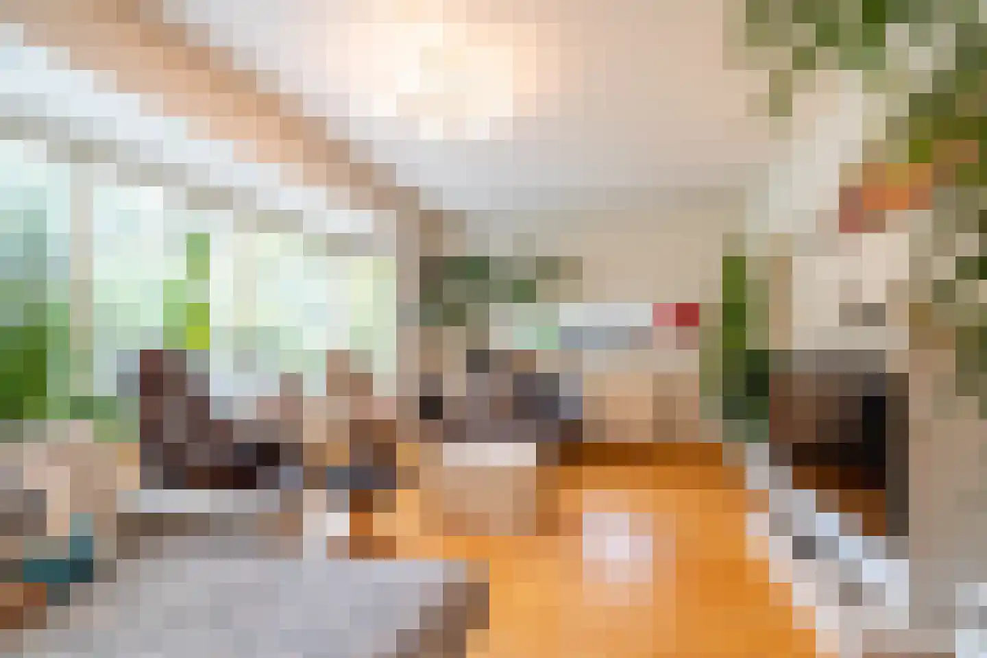 Nieuwe Holtenweg 2 Vries thumbnail 13