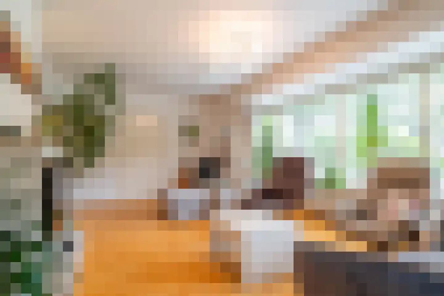 Nieuwe Holtenweg 2 Vries thumbnail 17