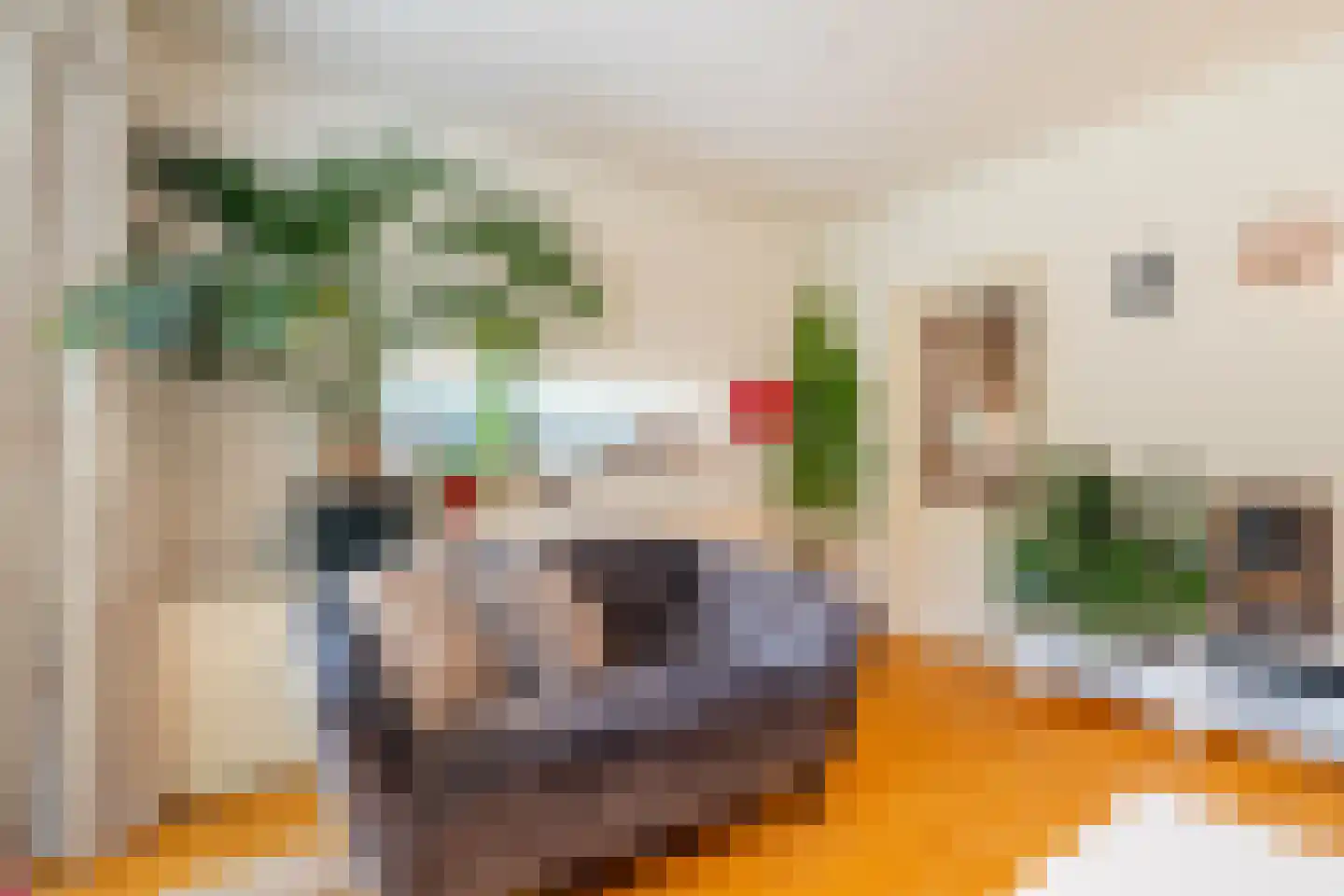 Nieuwe Holtenweg 2 Vries thumbnail 18