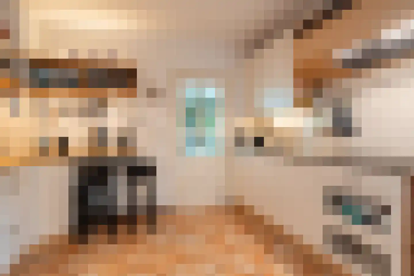 Nieuwe Holtenweg 2 Vries thumbnail 19