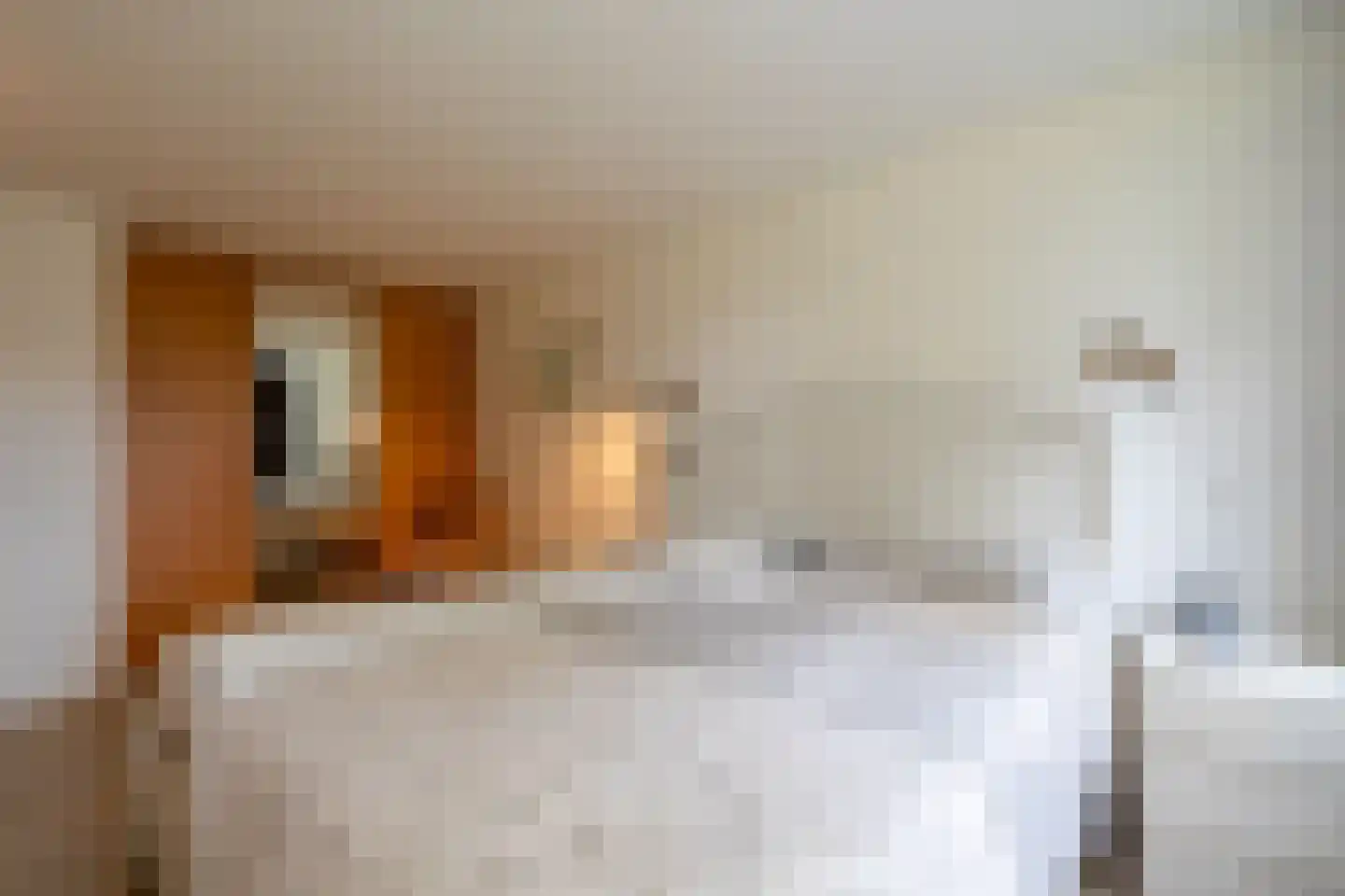 Nieuwe Holtenweg 2 Vries thumbnail 27