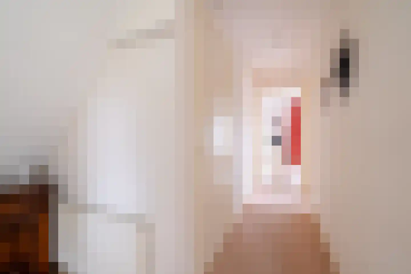 Nieuwe Holtenweg 2 Vries thumbnail 34