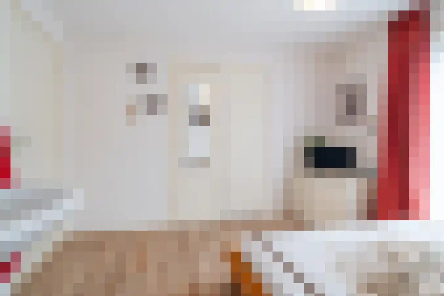 Nieuwe Holtenweg 2 Vries thumbnail 37