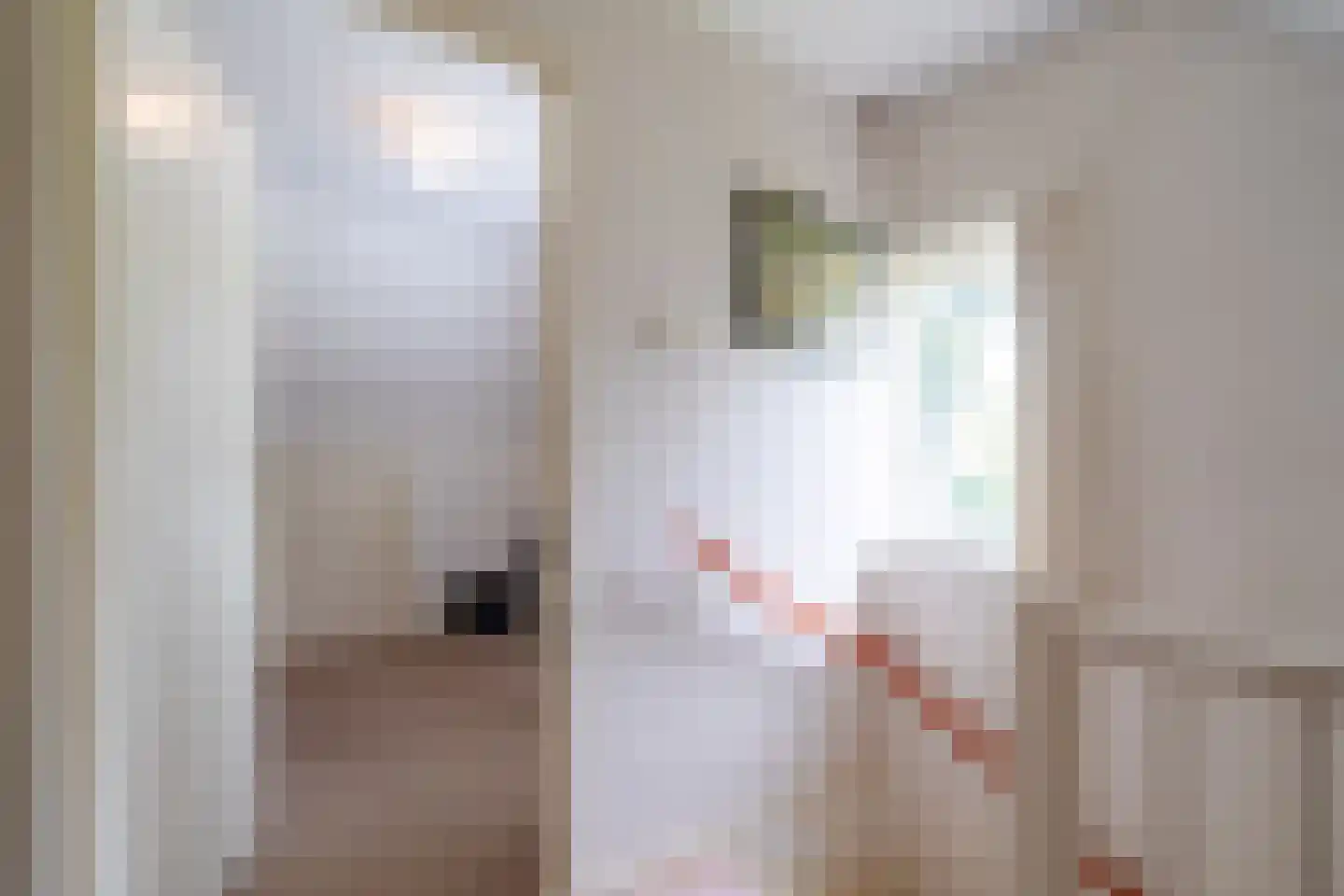 Nieuwe Holtenweg 2 Vries thumbnail 38