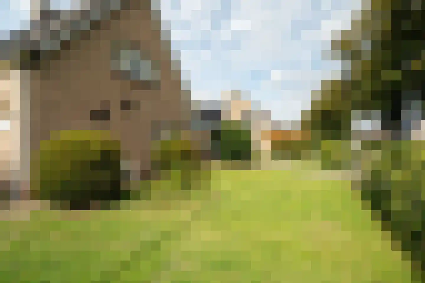 Nieuwe Holtenweg 2 Vries thumbnail 44