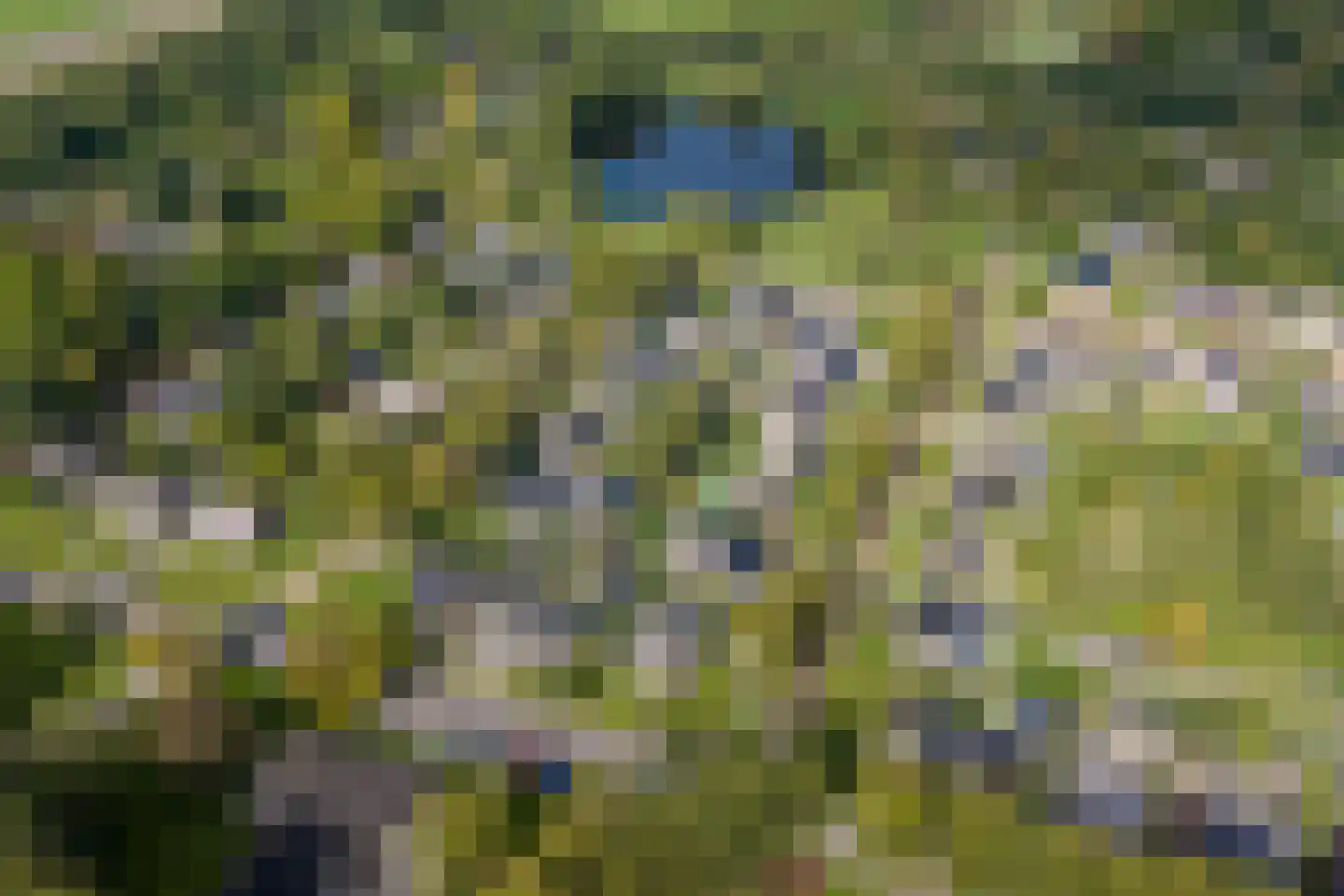 Nieuwe Holtenweg 2 Vries thumbnail 5