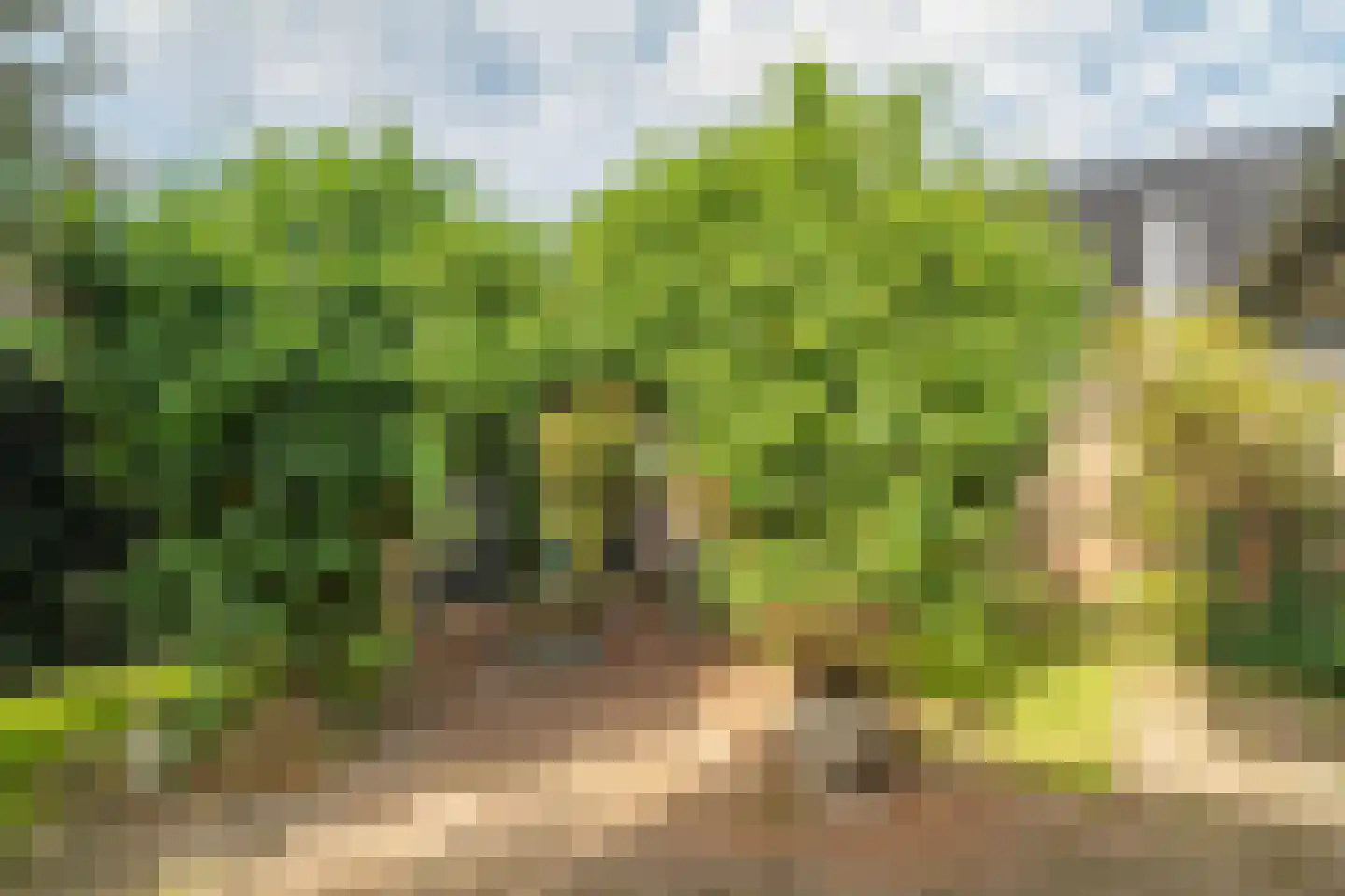 Nieuwe Holtenweg 2 Vries thumbnail 50