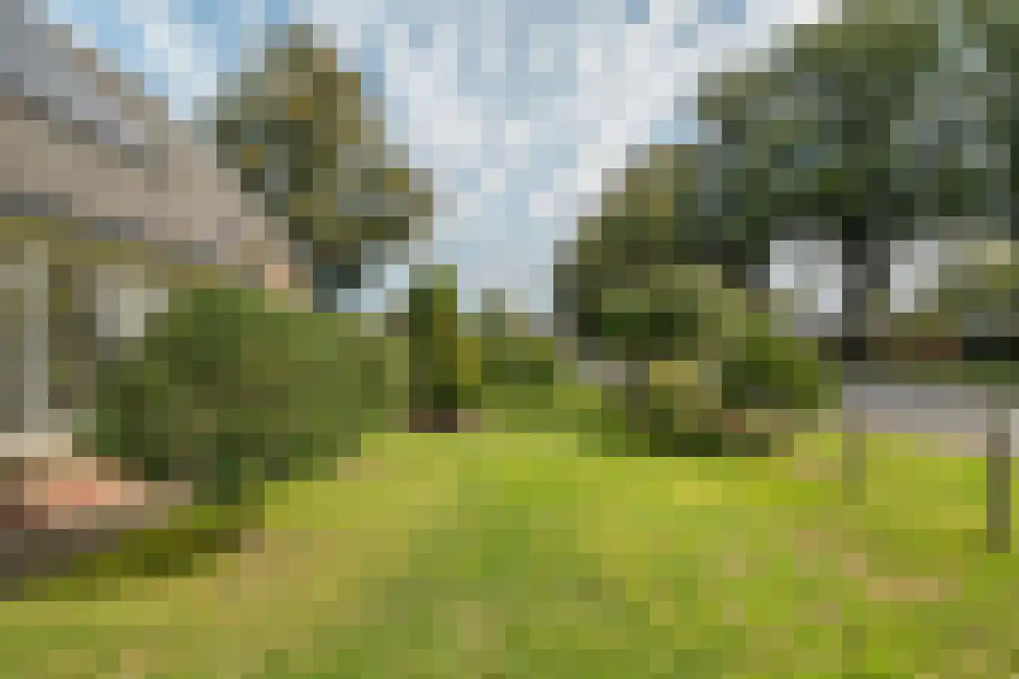 Nieuwe Holtenweg 2 Vries thumbnail 9