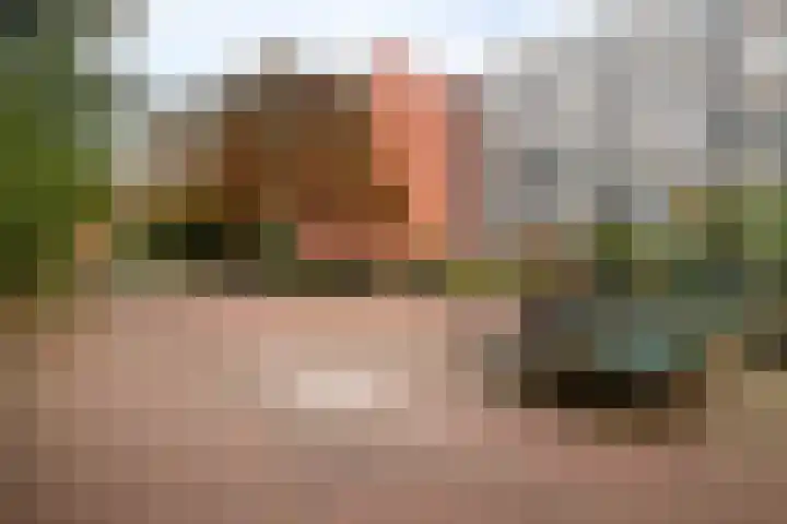 Nieuwe-Hoofdhof 44 Amsterdam thumbnail 15