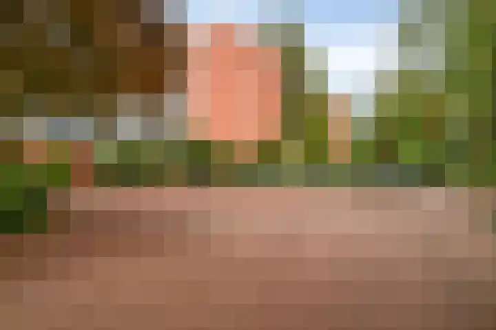 Nieuwe-Hoofdhof 44 Amsterdam thumbnail 17